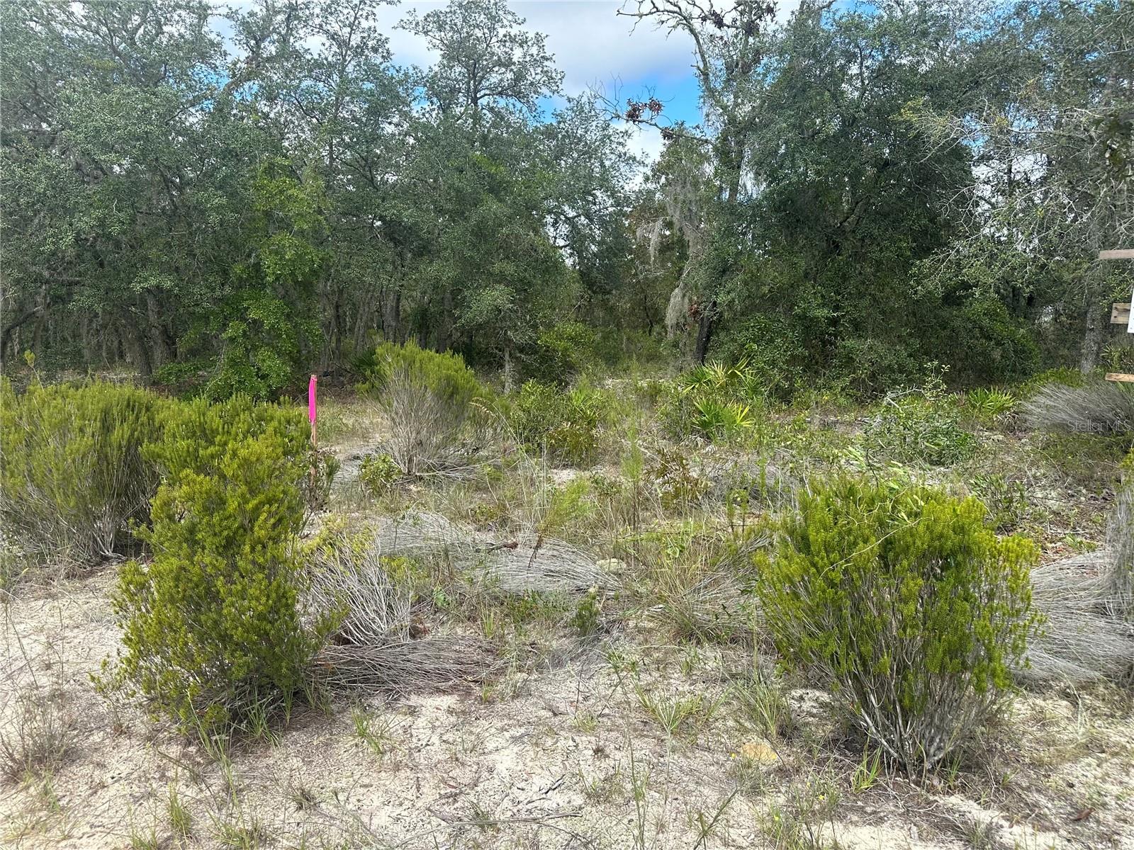 61 ST LN NE, WILLISTON, FL, 32696