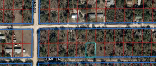 61 ST LN NE, WILLISTON, FL, 32696