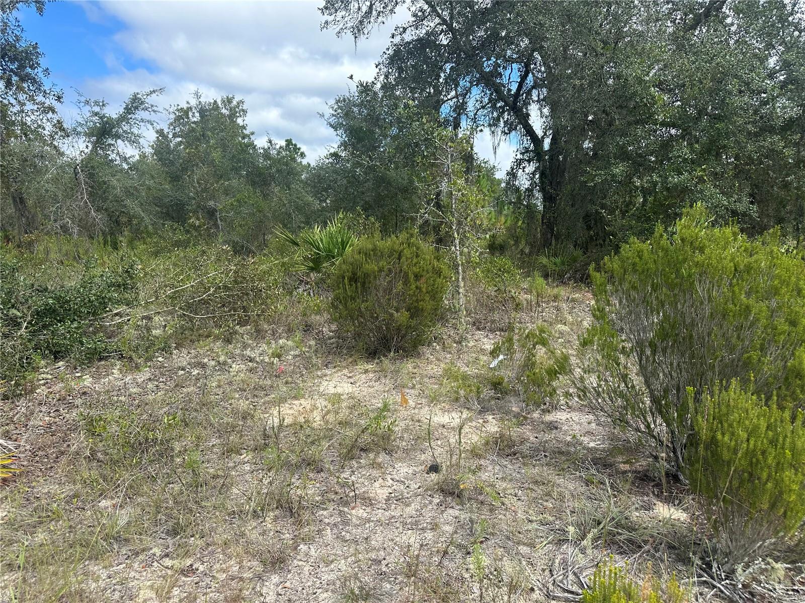 61 ST LN NE, WILLISTON, FL, 32696