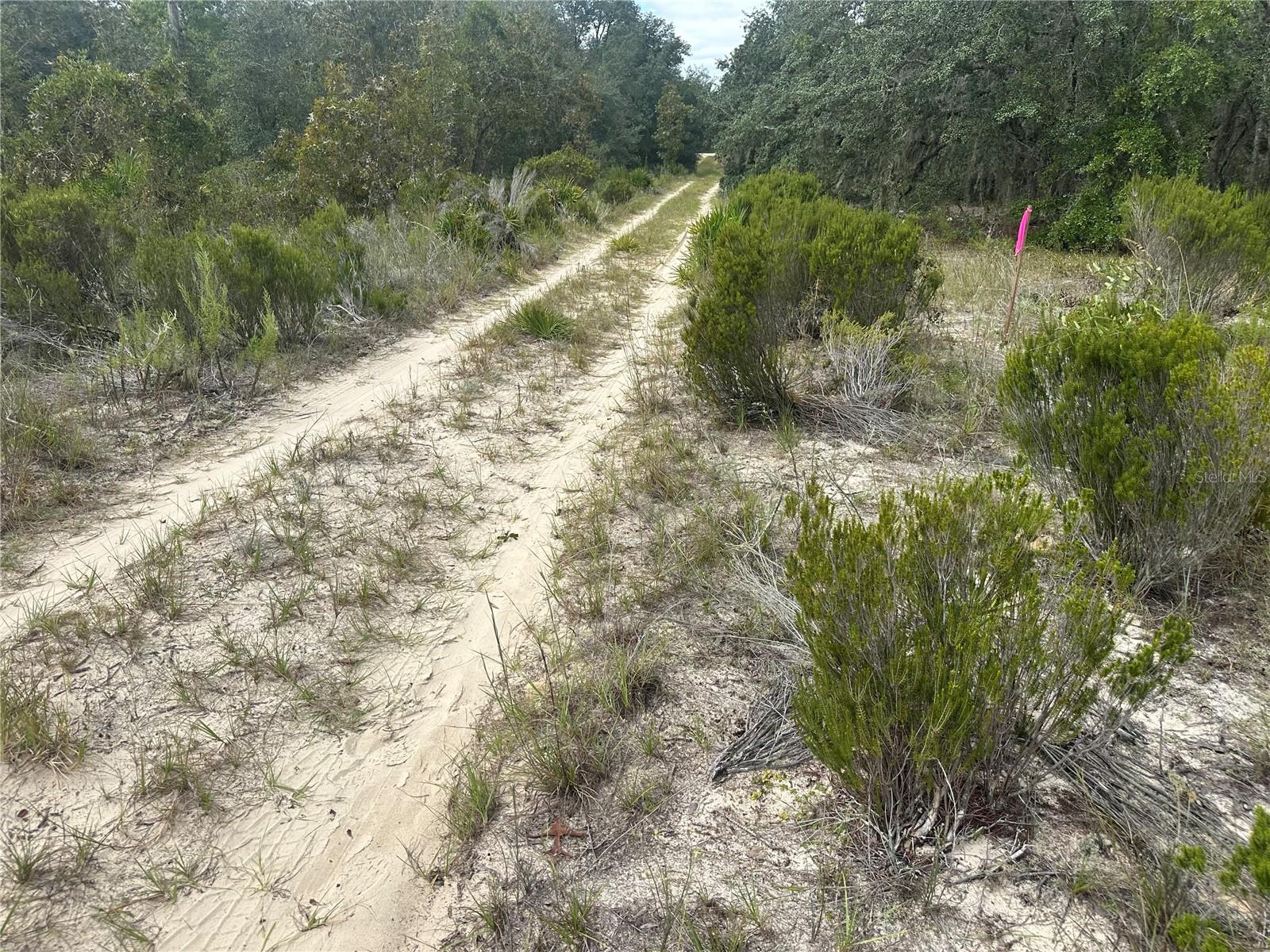 61 ST LN NE, WILLISTON, FL, 32696