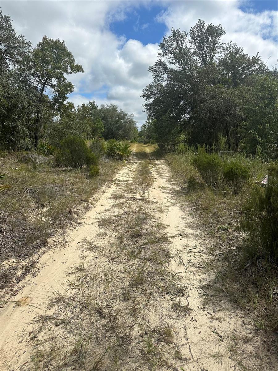 61 ST LN NE, WILLISTON, FL, 32696