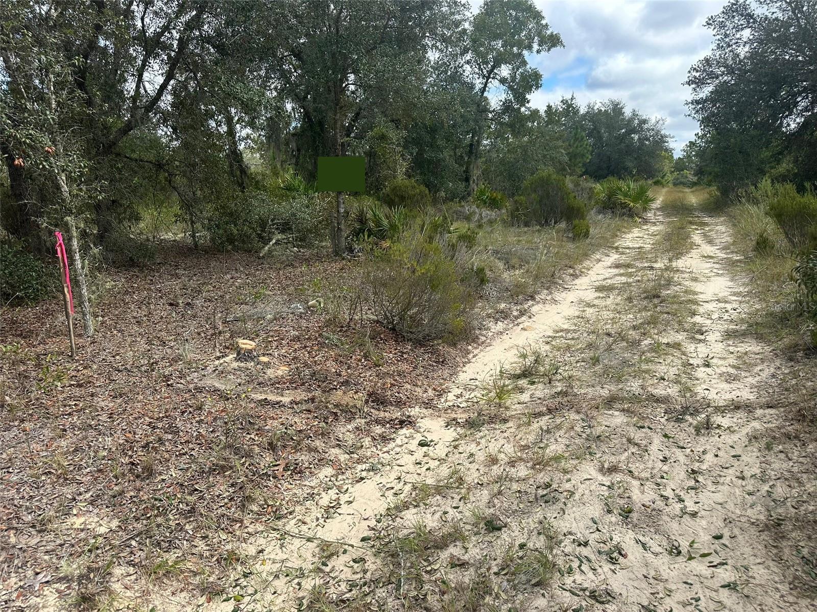 61 ST LN NE, WILLISTON, FL, 32696