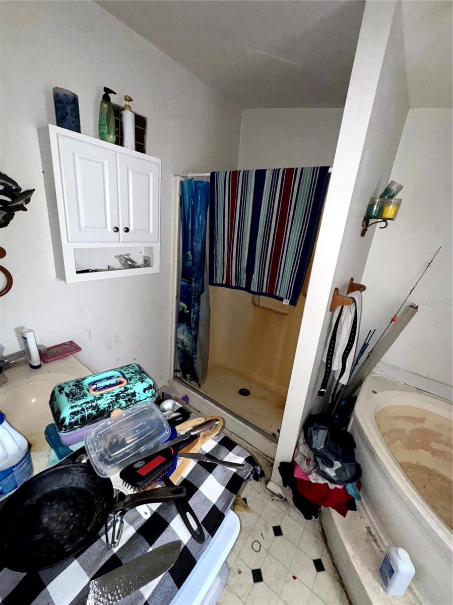 38233 DEERWOODS DR, EUSTIS, FL, 32736