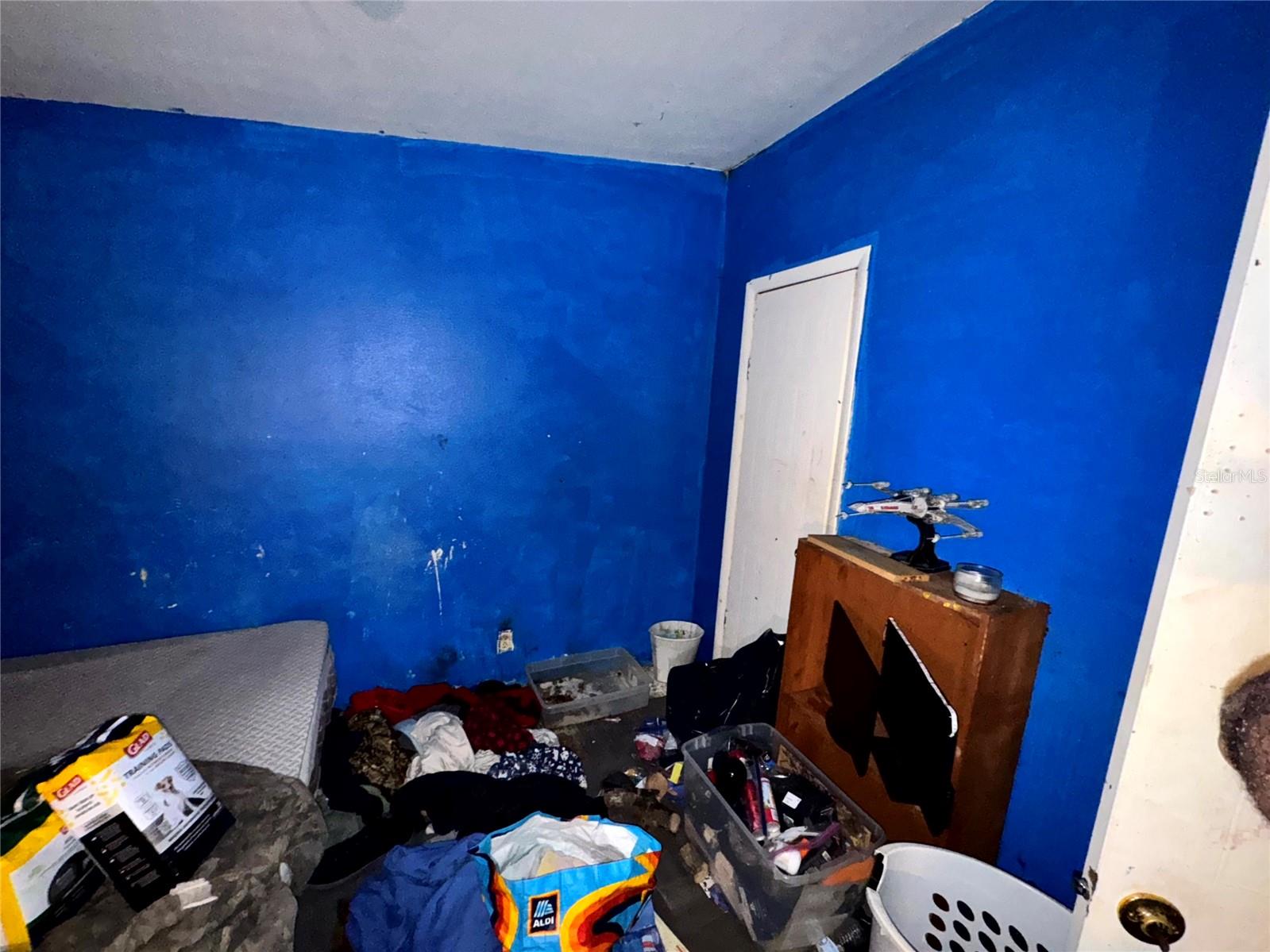 38233 DEERWOODS DR, EUSTIS, FL, 32736