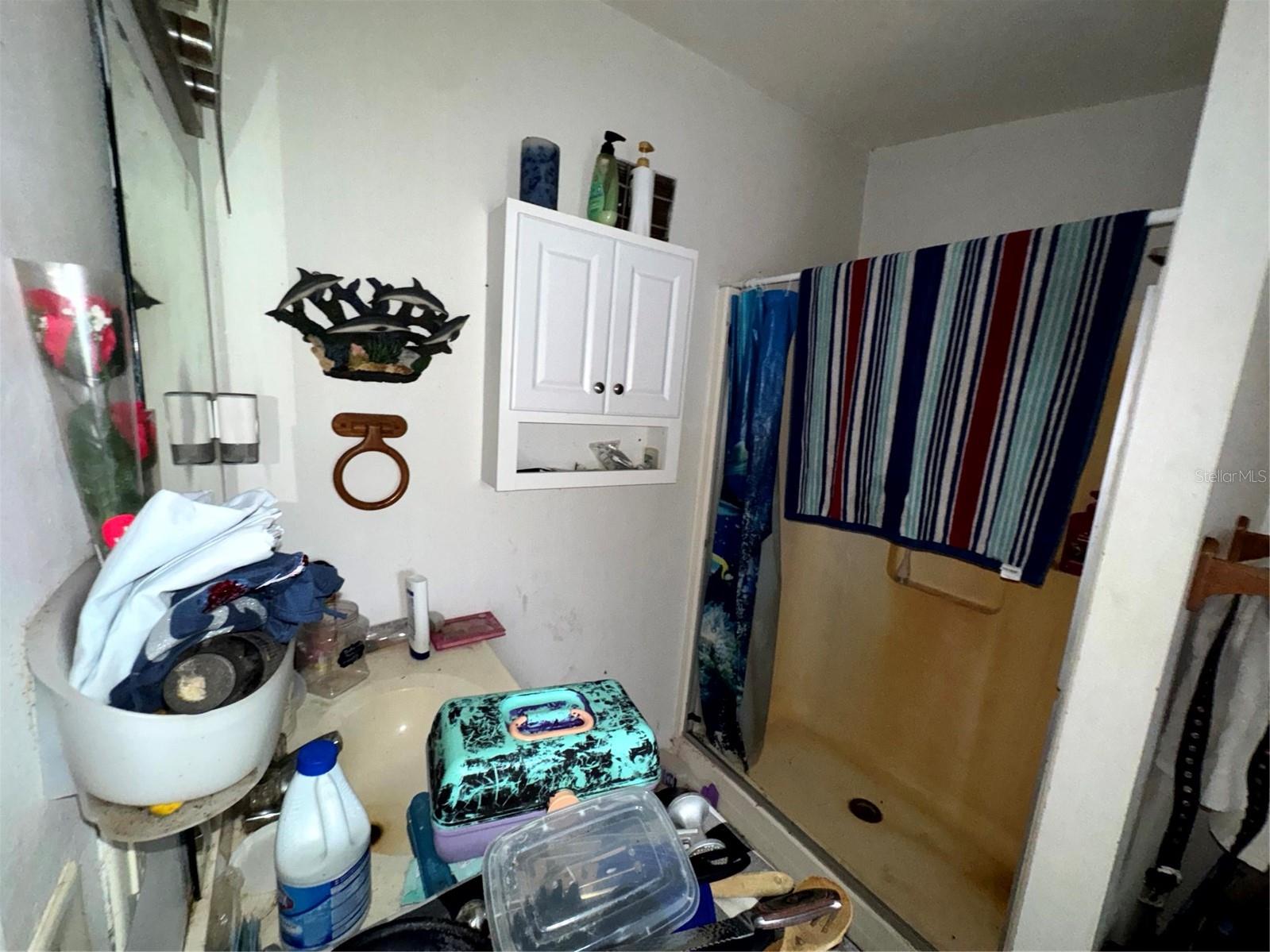 38233 DEERWOODS DR, EUSTIS, FL, 32736