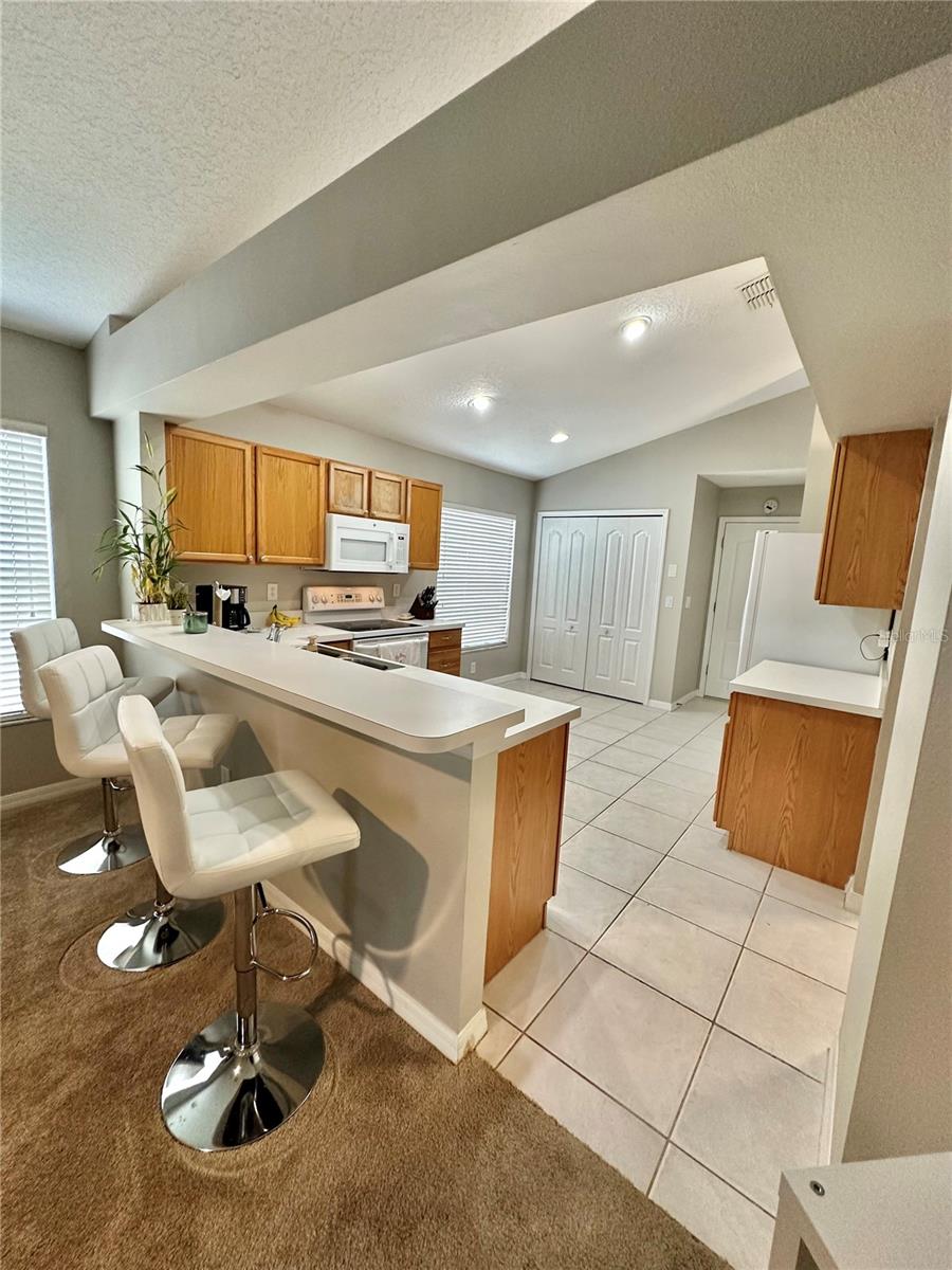 4737 AYRSHIRE DR, SPRING HILL, FL, 34609