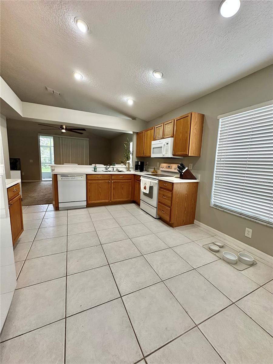 4737 AYRSHIRE DR, SPRING HILL, FL, 34609