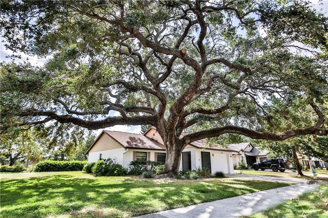 5846 DEER HOLLOW LN E, SARASOTA, FL, 34232