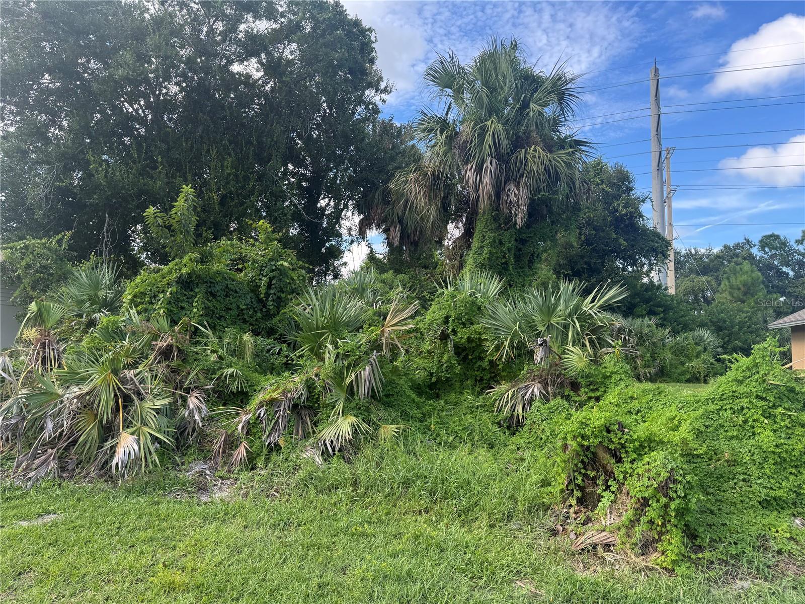 4015 N WATERBRIDGE CIR, PORT ORANGE, FL, 32129