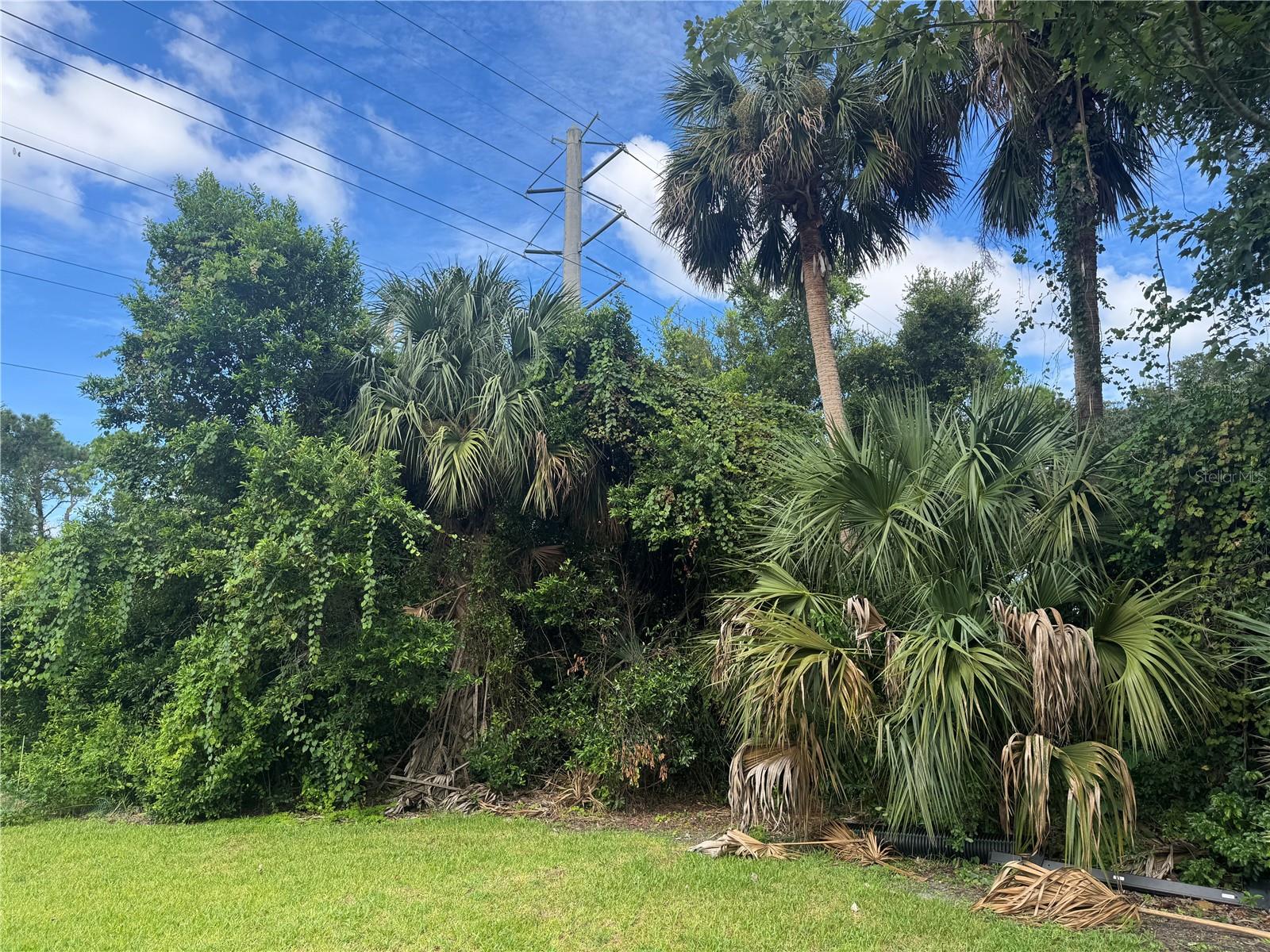 4015 N WATERBRIDGE CIR, PORT ORANGE, FL, 32129