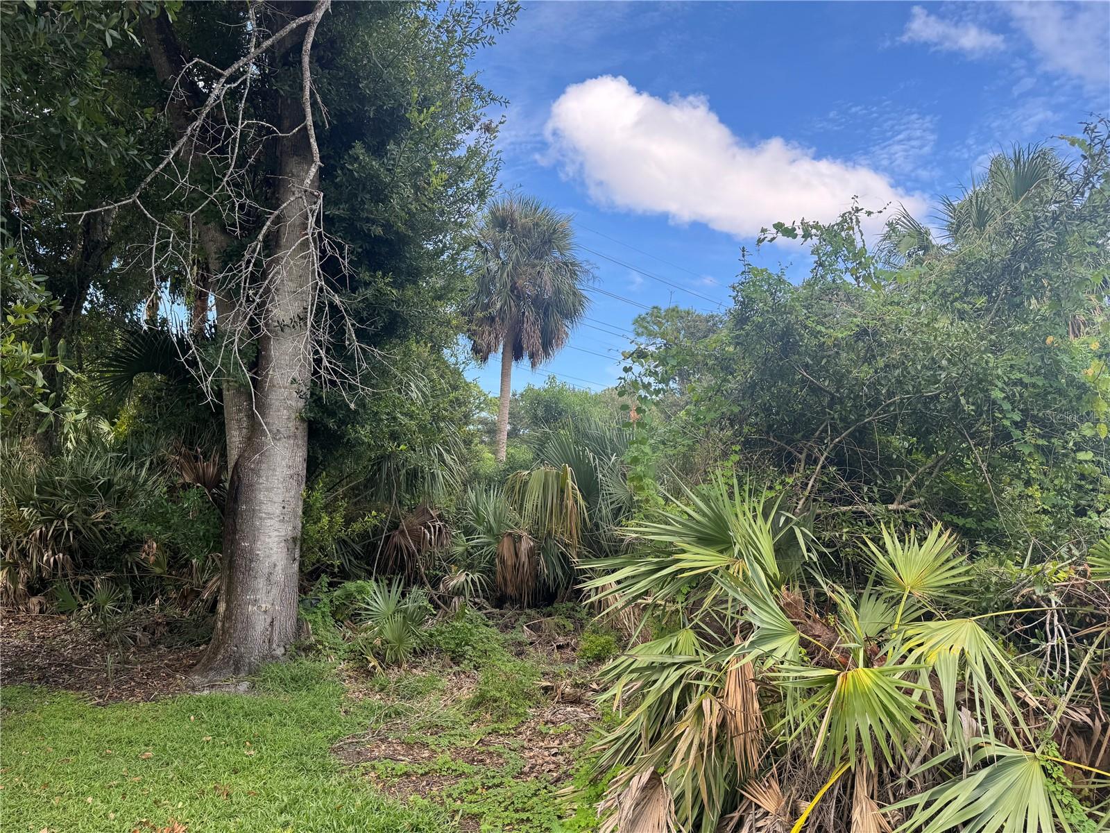 4015 N WATERBRIDGE CIR, PORT ORANGE, FL, 32129