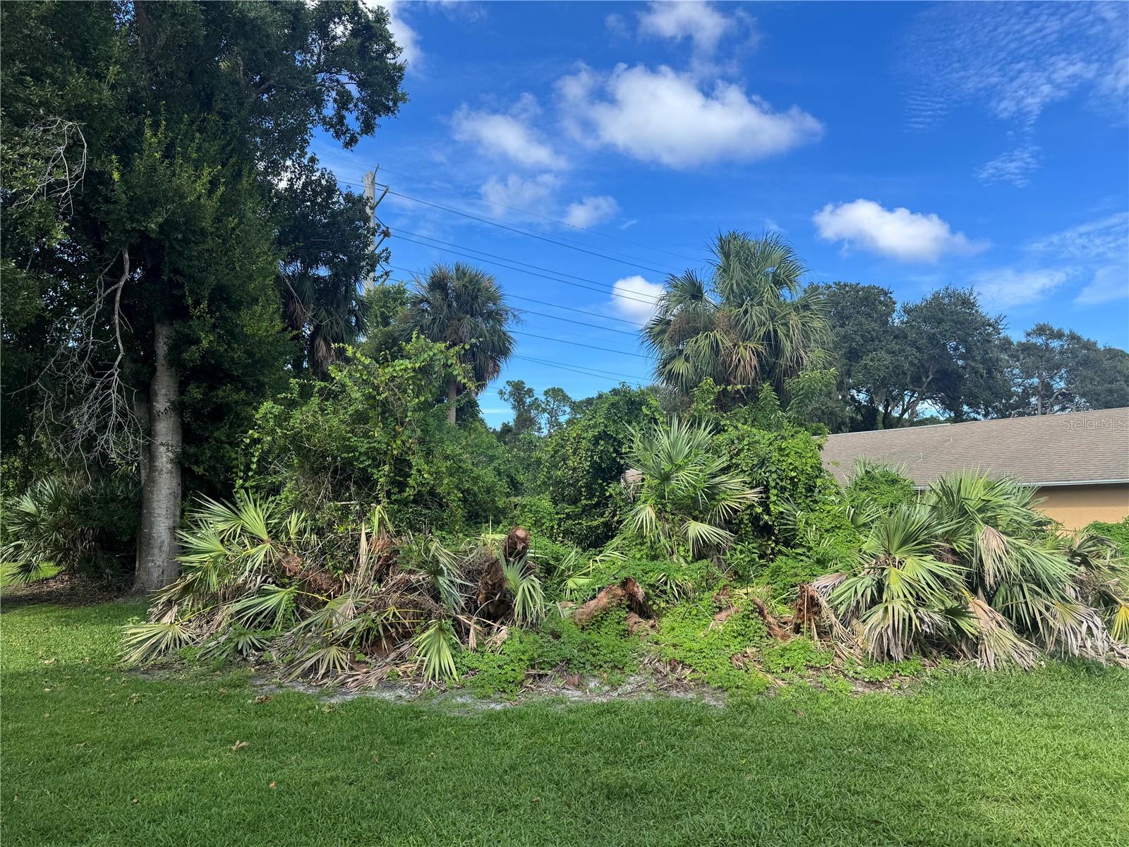 4015 N WATERBRIDGE CIR, PORT ORANGE, FL, 32129