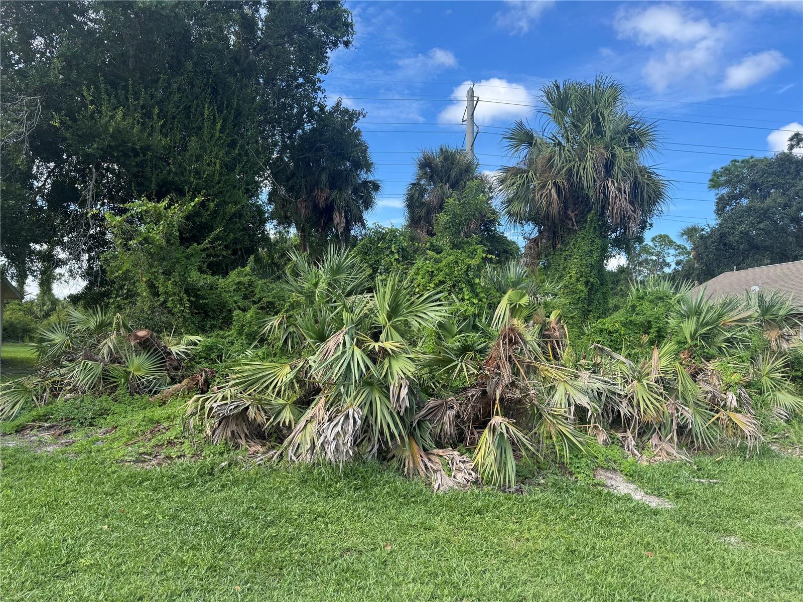 4015 N WATERBRIDGE CIR, PORT ORANGE, FL, 32129