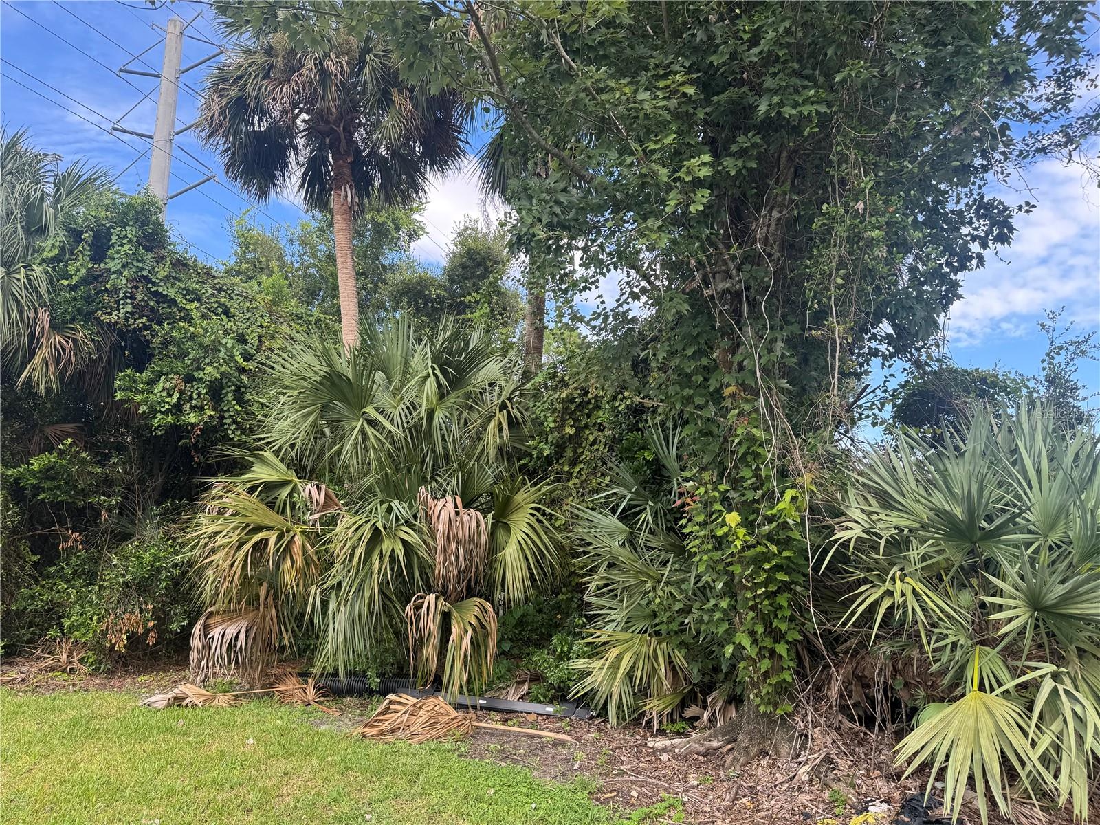 4015 N WATERBRIDGE CIR, PORT ORANGE, FL, 32129