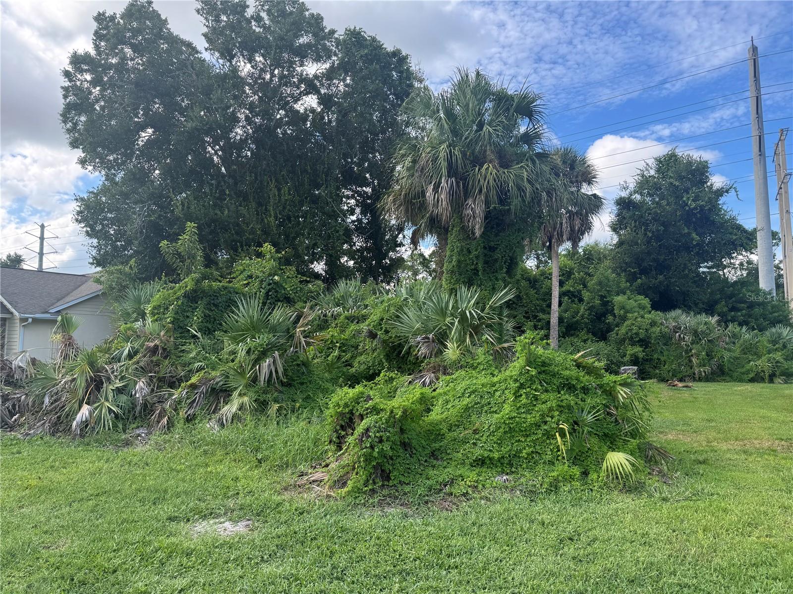 4015 N WATERBRIDGE CIR, PORT ORANGE, FL, 32129