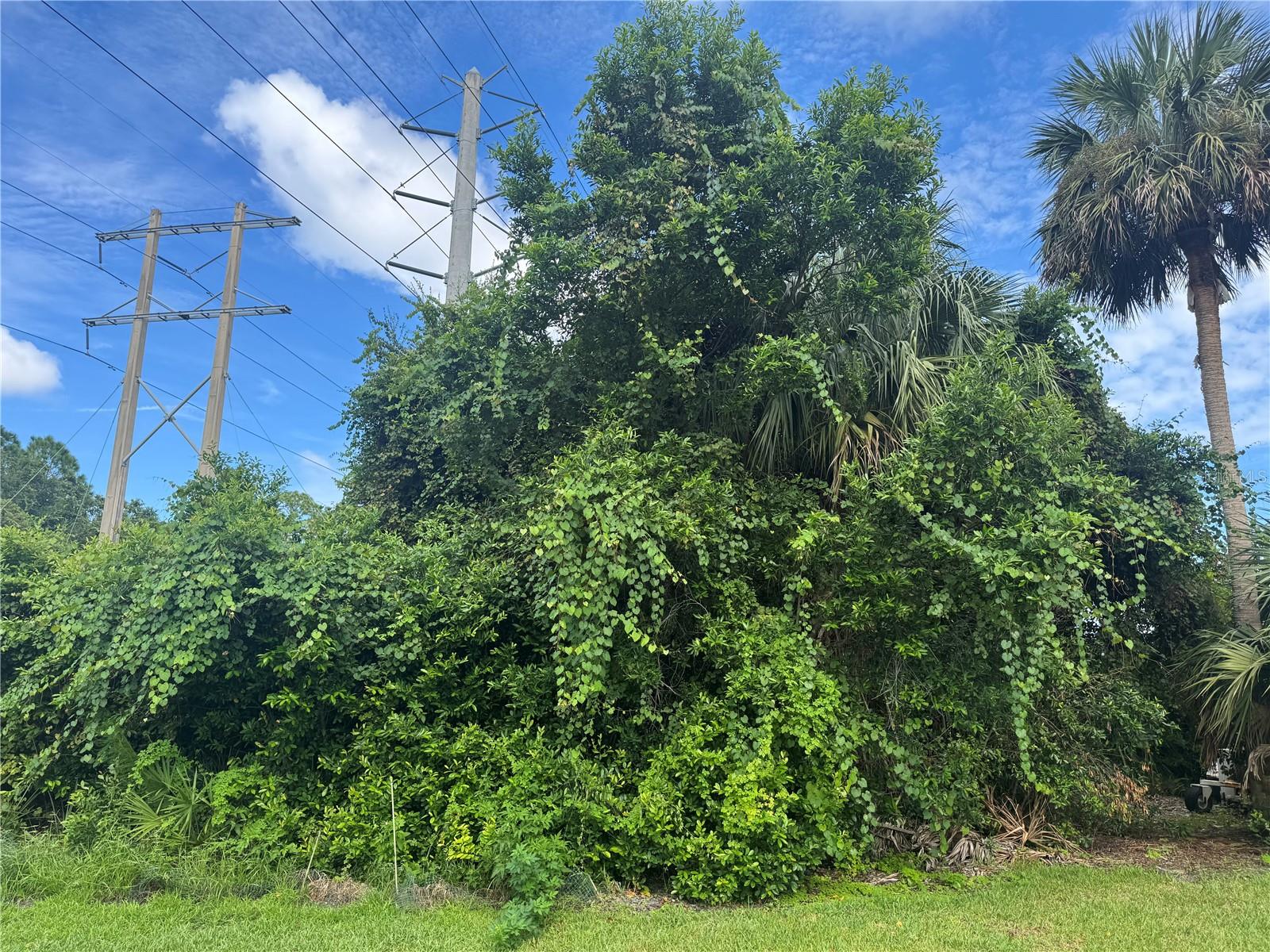 4015 N WATERBRIDGE CIR, PORT ORANGE, FL, 32129