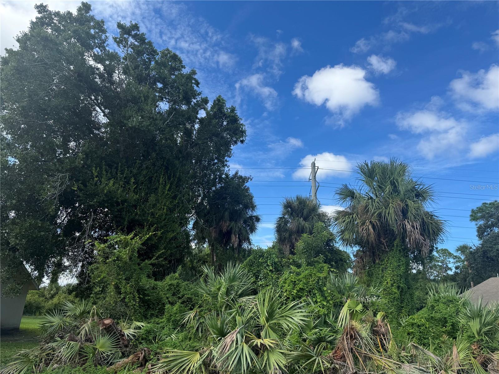 4015 N WATERBRIDGE CIR, PORT ORANGE, FL, 32129