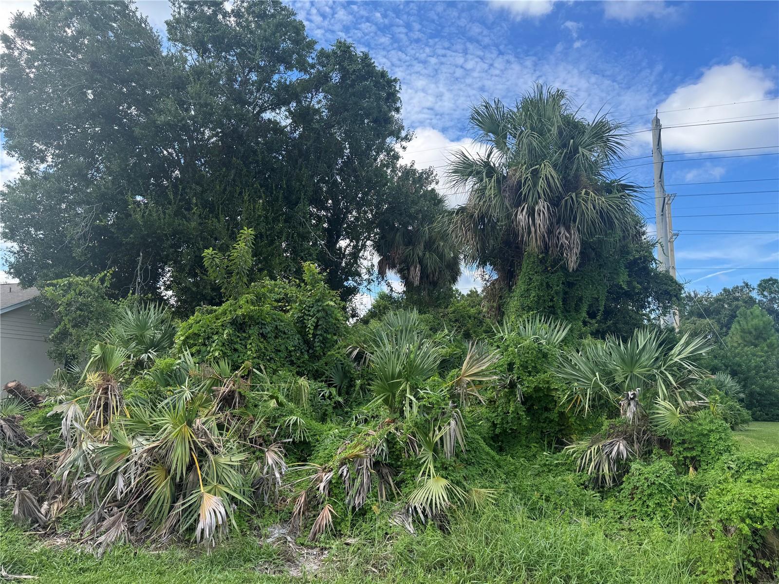 4015 N WATERBRIDGE CIR, PORT ORANGE, FL, 32129