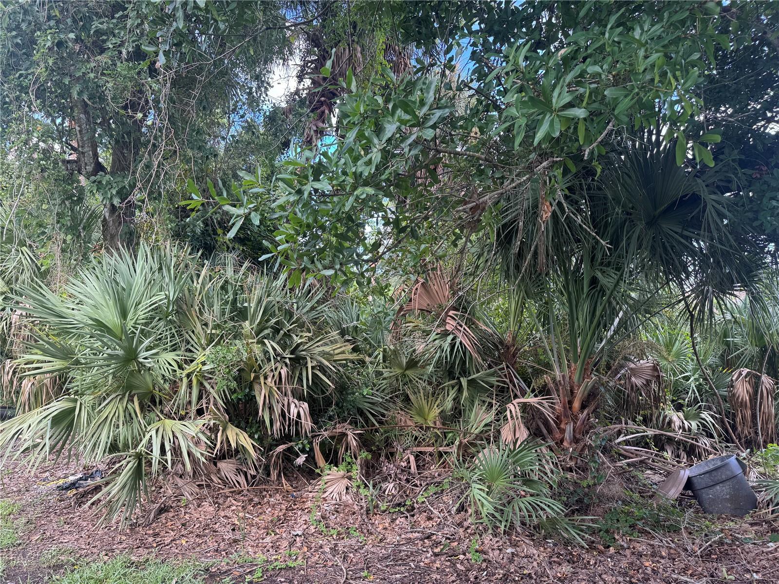 4015 N WATERBRIDGE CIR, PORT ORANGE, FL, 32129