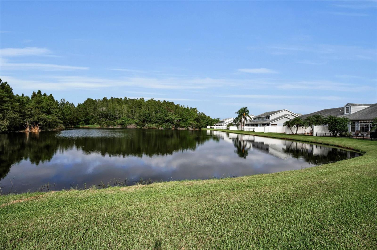 Neighborhood Lake!