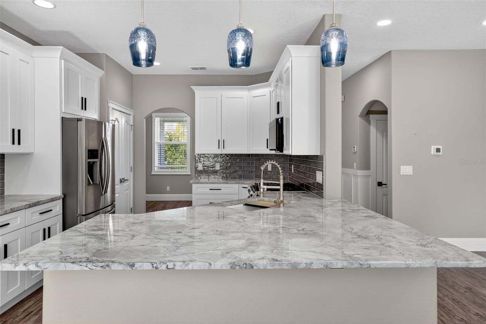 1147 HALAPA WAY, TRINITY, FL, 34655