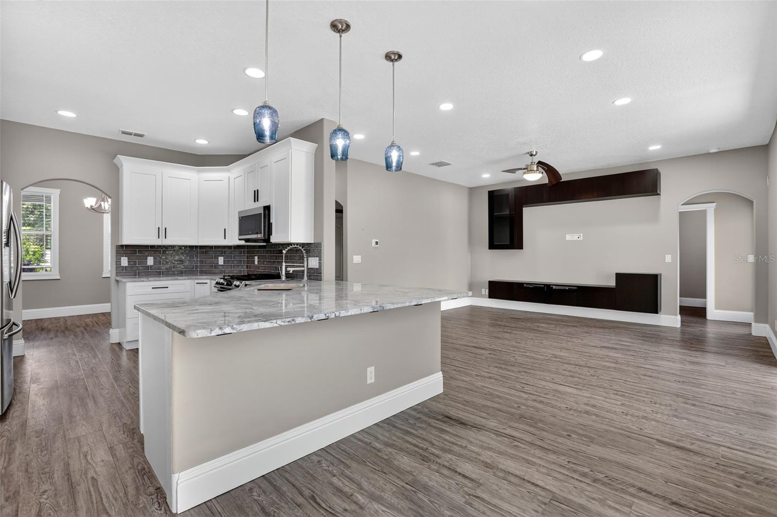 1147 HALAPA WAY, TRINITY, FL, 34655