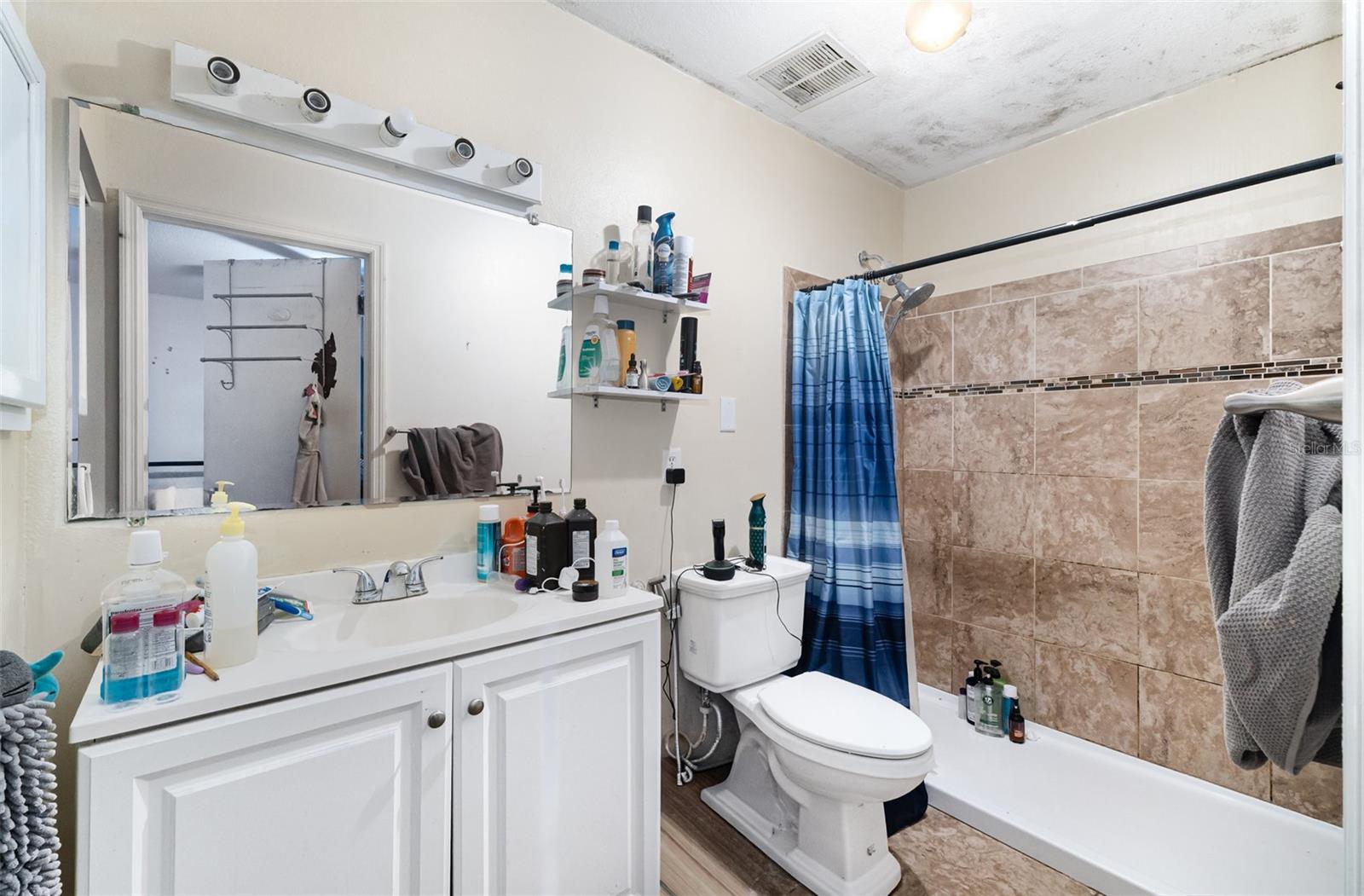 13678 SE 51ST AVE, SUMMERFIELD, FL, 34491