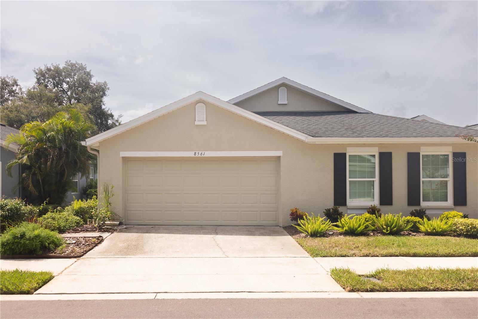 8561 ACORN RIDGE CT, TAMPA, FL, 33625