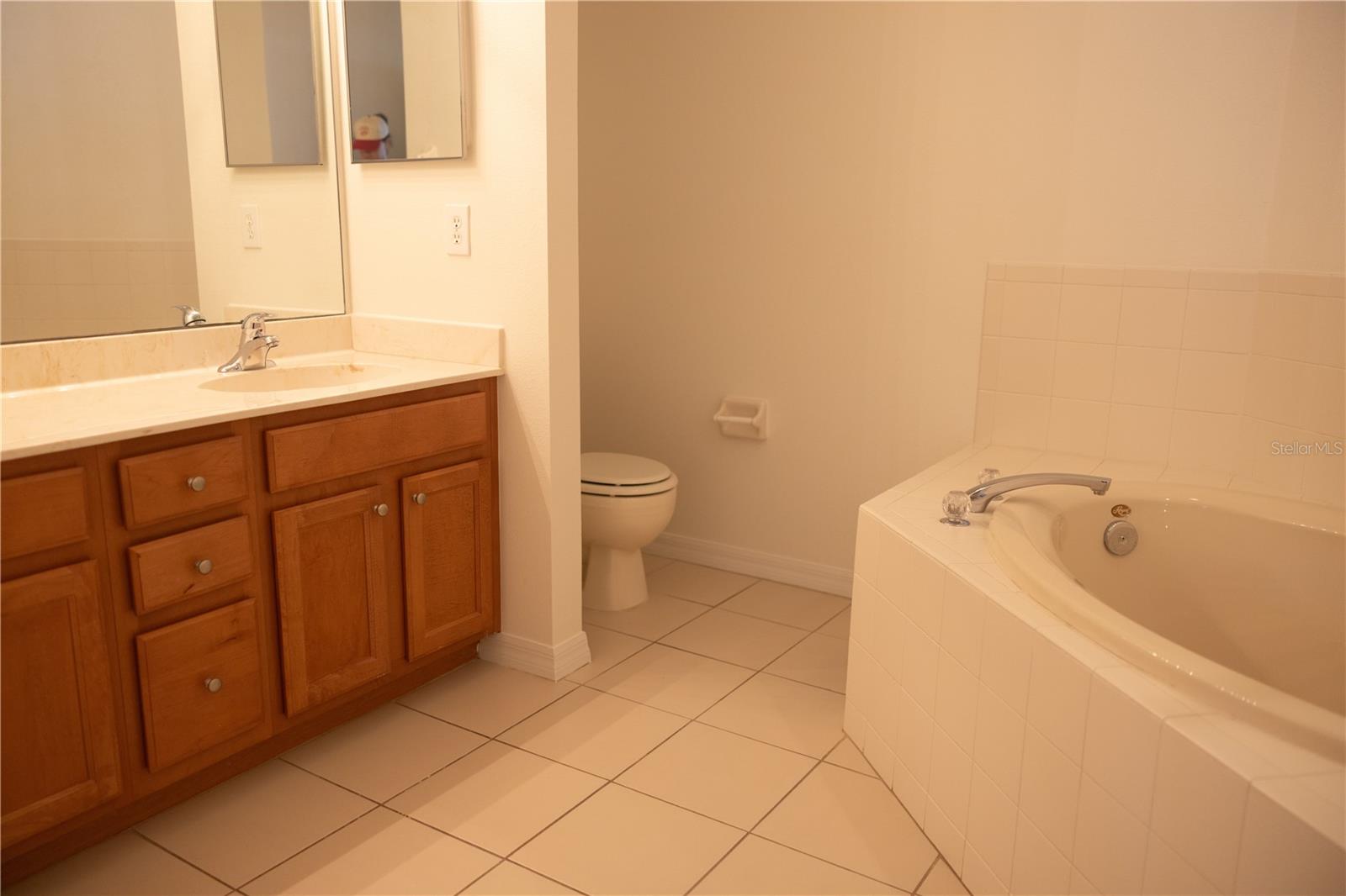 8561 ACORN RIDGE CT, TAMPA, FL, 33625