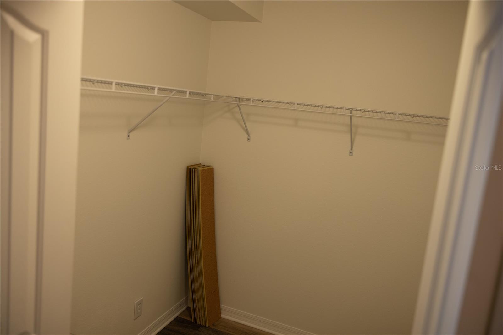 8561 ACORN RIDGE CT, TAMPA, FL, 33625