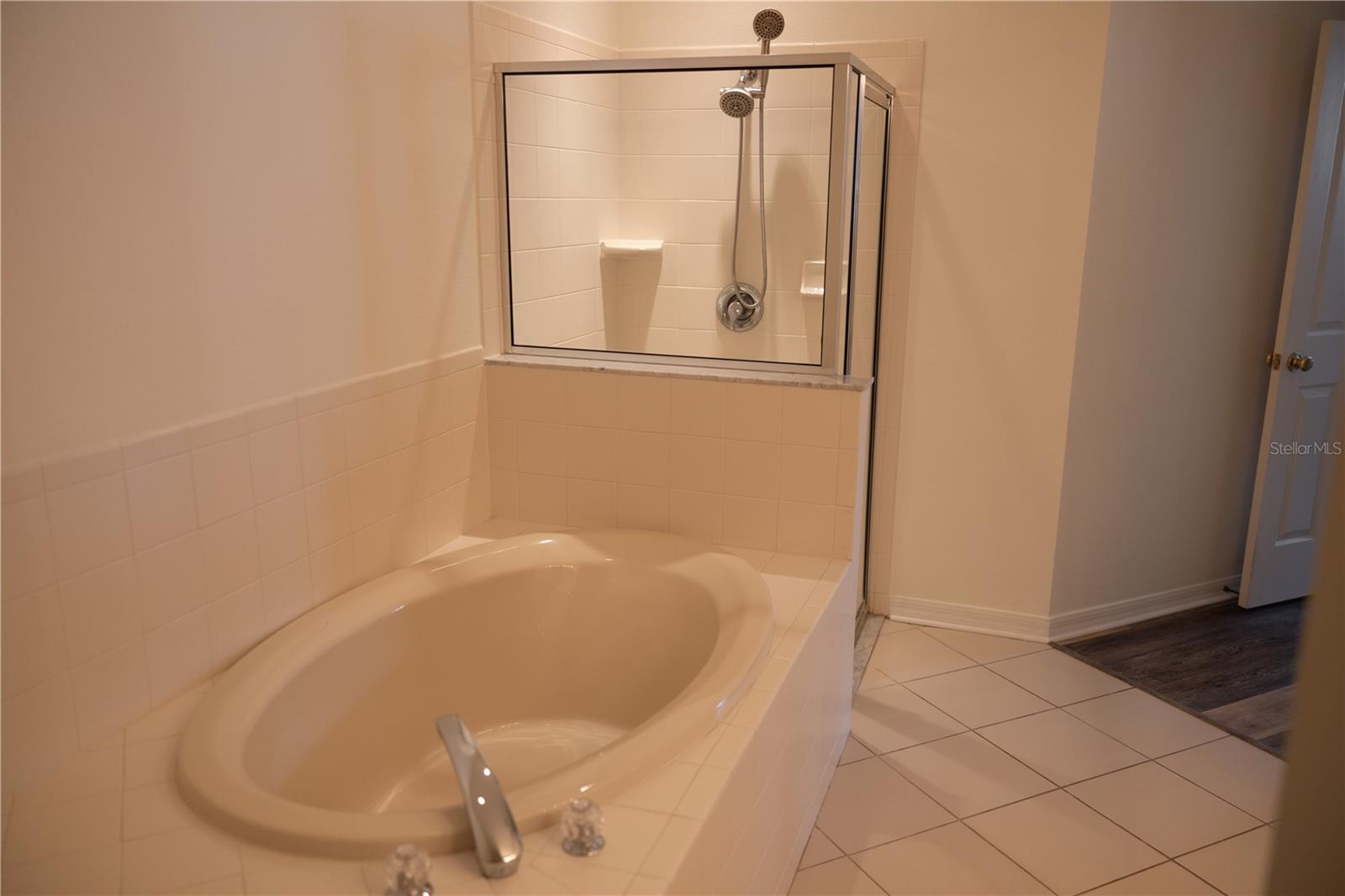 8561 ACORN RIDGE CT, TAMPA, FL, 33625