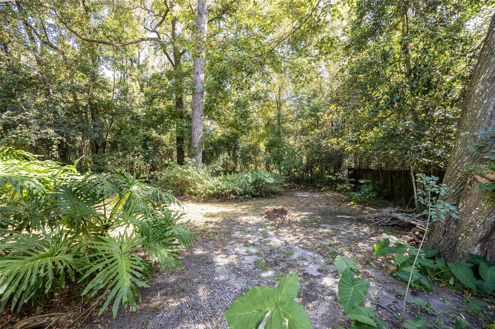 749 NW 34TH ST, GAINESVILLE, FL, 32607