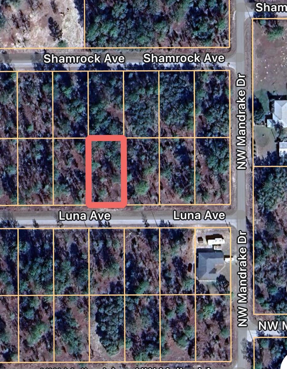0 LUNA AVE #21, DUNNELLON, FL, 34431