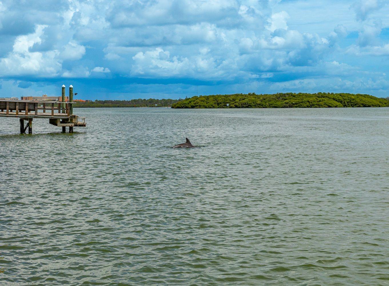 TB8427384 Property Photo