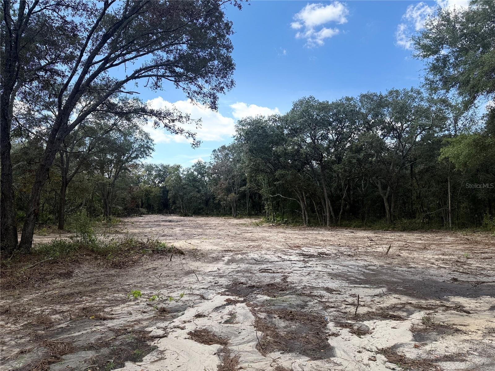 tbd NE 72ND PL, BRONSON, FL, 32621