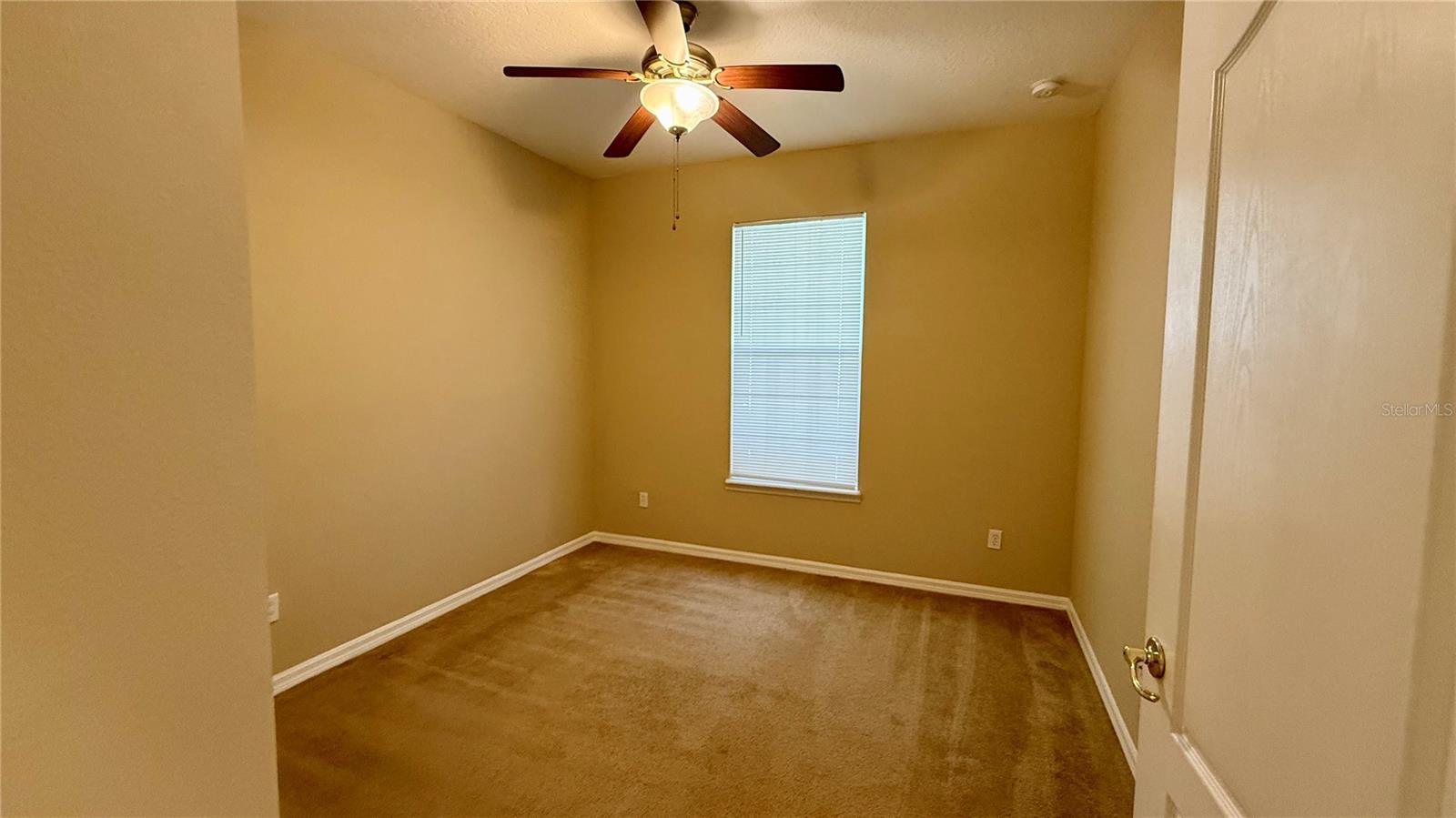 6679 DUNCASTER ST, WINDERMERE, FL, 34786