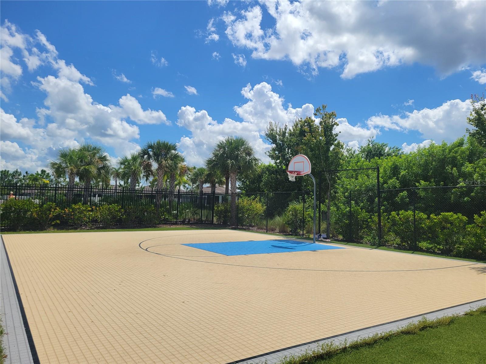 Basketball 1/2 Court
