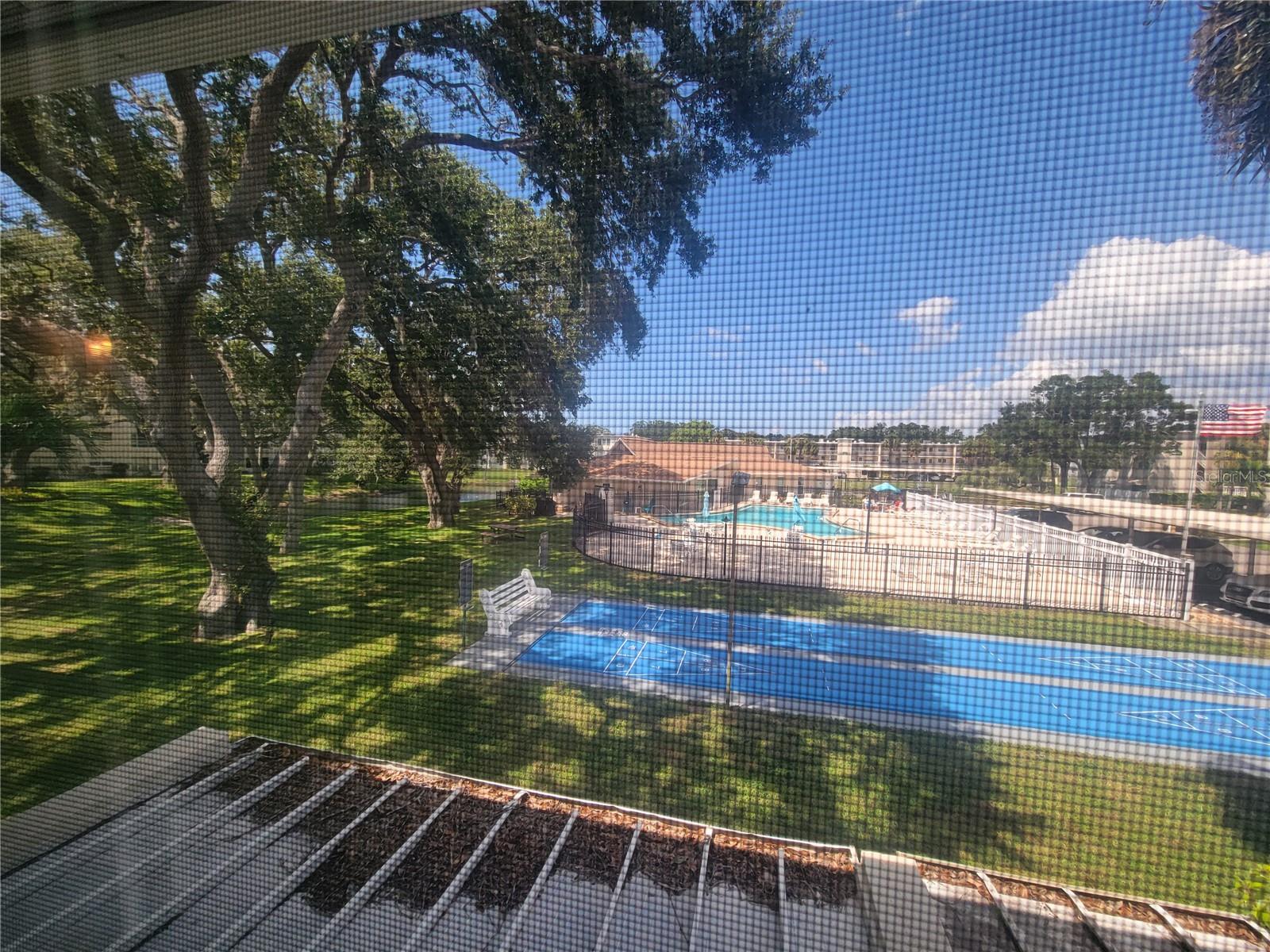 930 VIRGINIA ST #202, DUNEDIN, FL, 34698