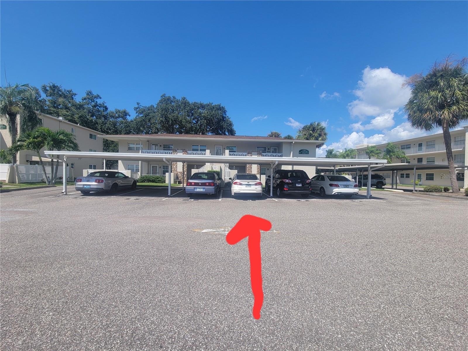 930 VIRGINIA ST #202, DUNEDIN, FL, 34698