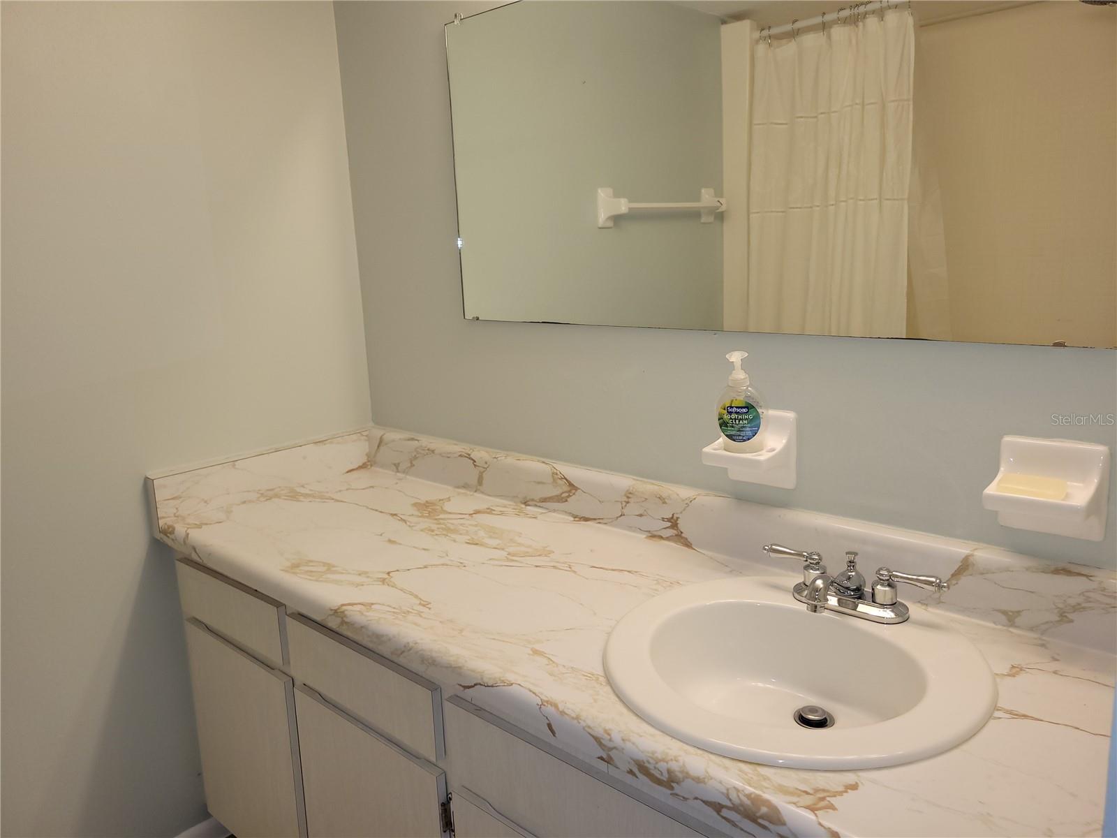 930 VIRGINIA ST #202, DUNEDIN, FL, 34698