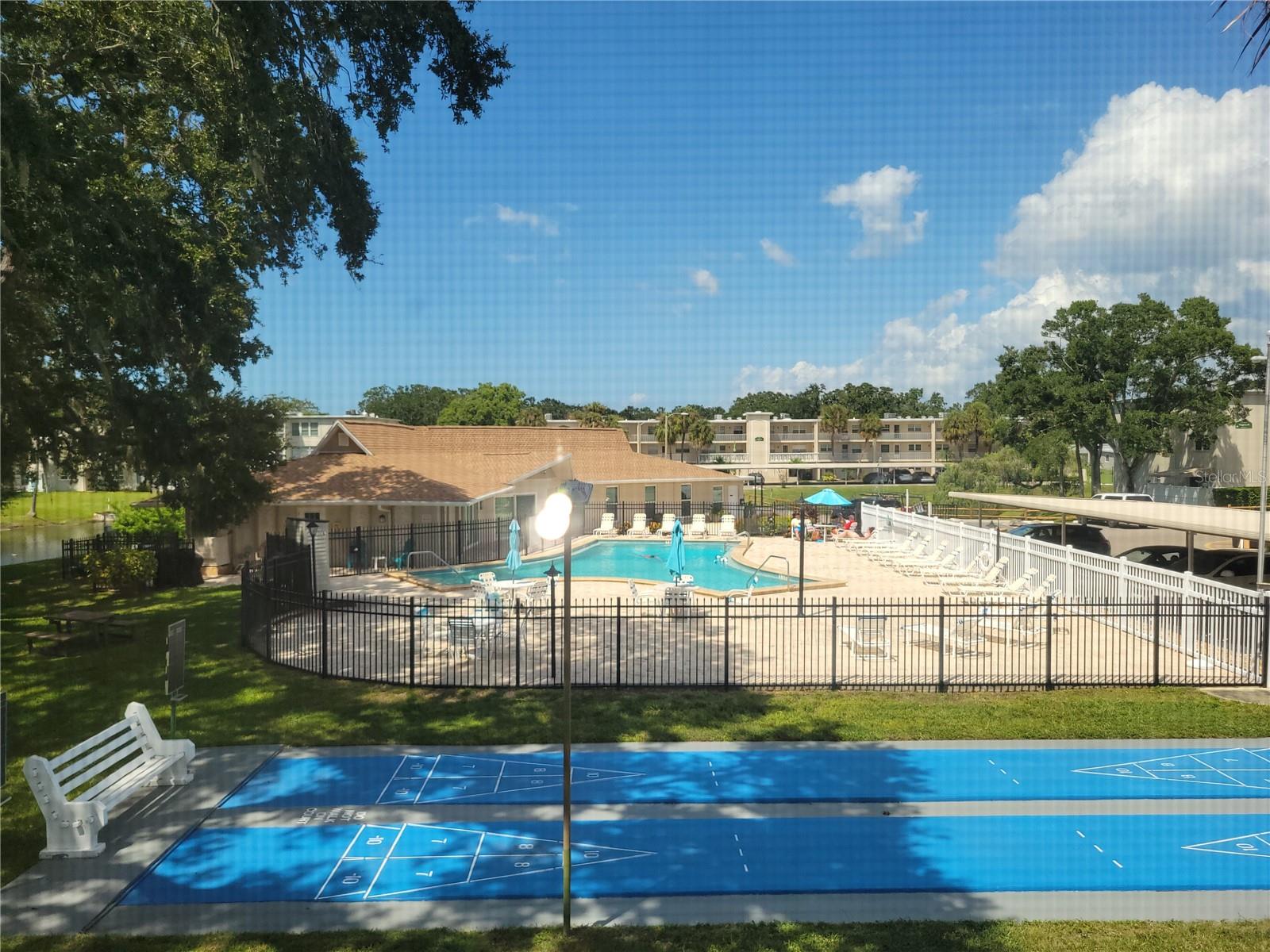 930 VIRGINIA ST #202, DUNEDIN, FL, 34698