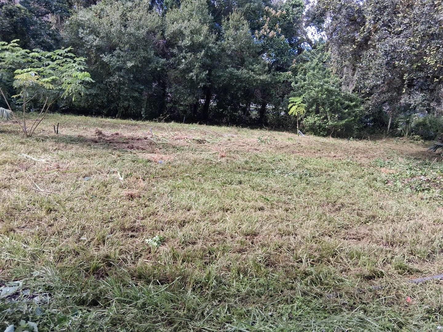 851 CALOOSAHATCHEE AVE #3, LABELLE, FL, 33935