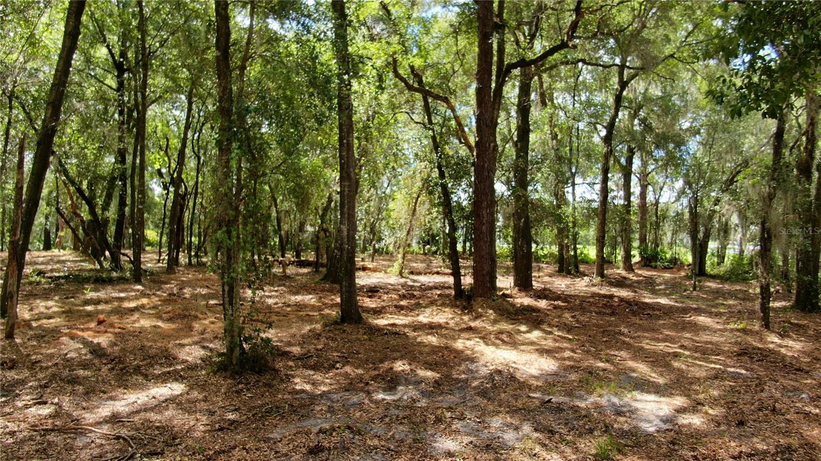 O6344118 Property Photo