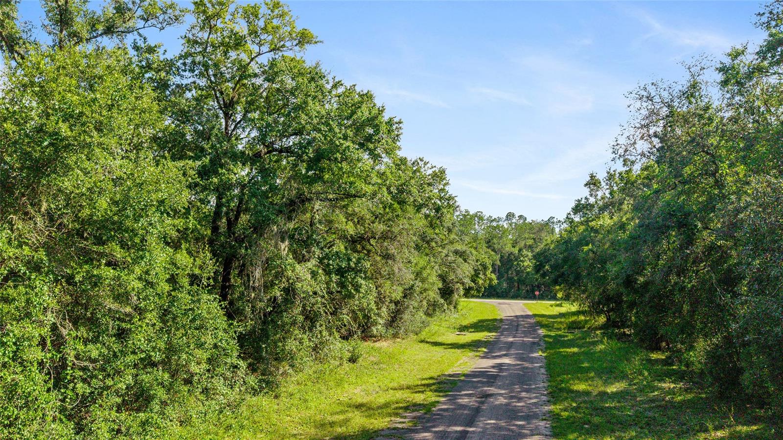 11023 N GLENDA TER, DUNNELLON, FL, 34434