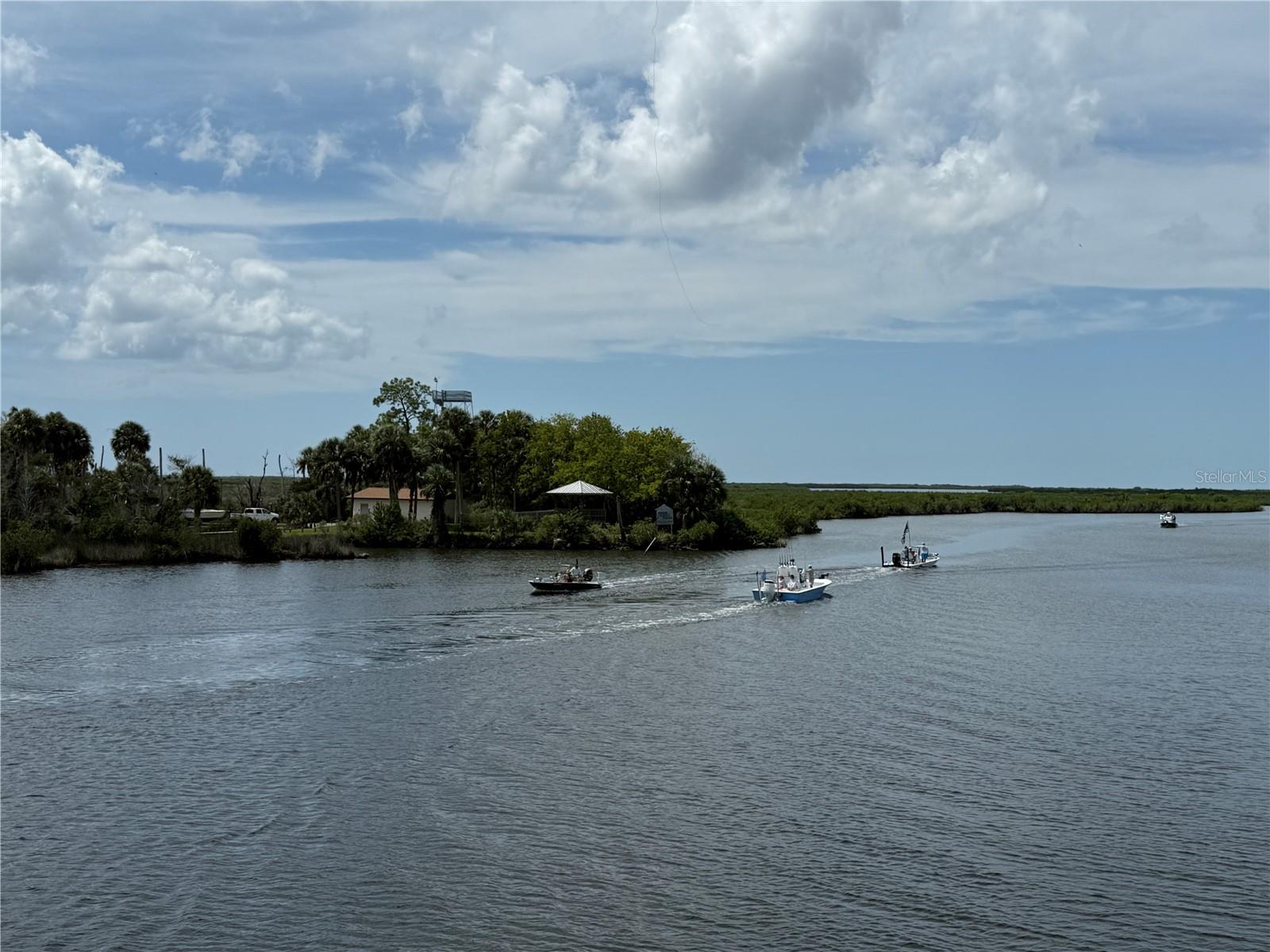 9339 N MILAM WAY, CITRUS SPRINGS, FL, 34434