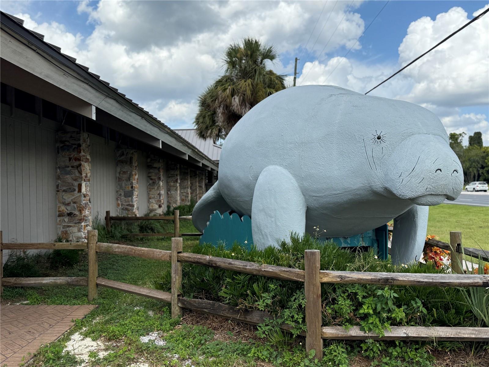 9339 N MILAM WAY, CITRUS SPRINGS, FL, 34434