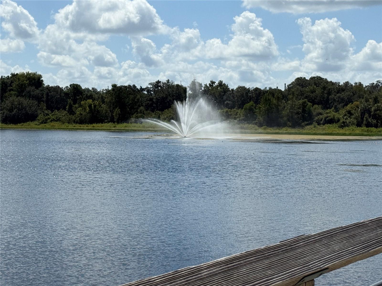 9339 N MILAM WAY, CITRUS SPRINGS, FL, 34434