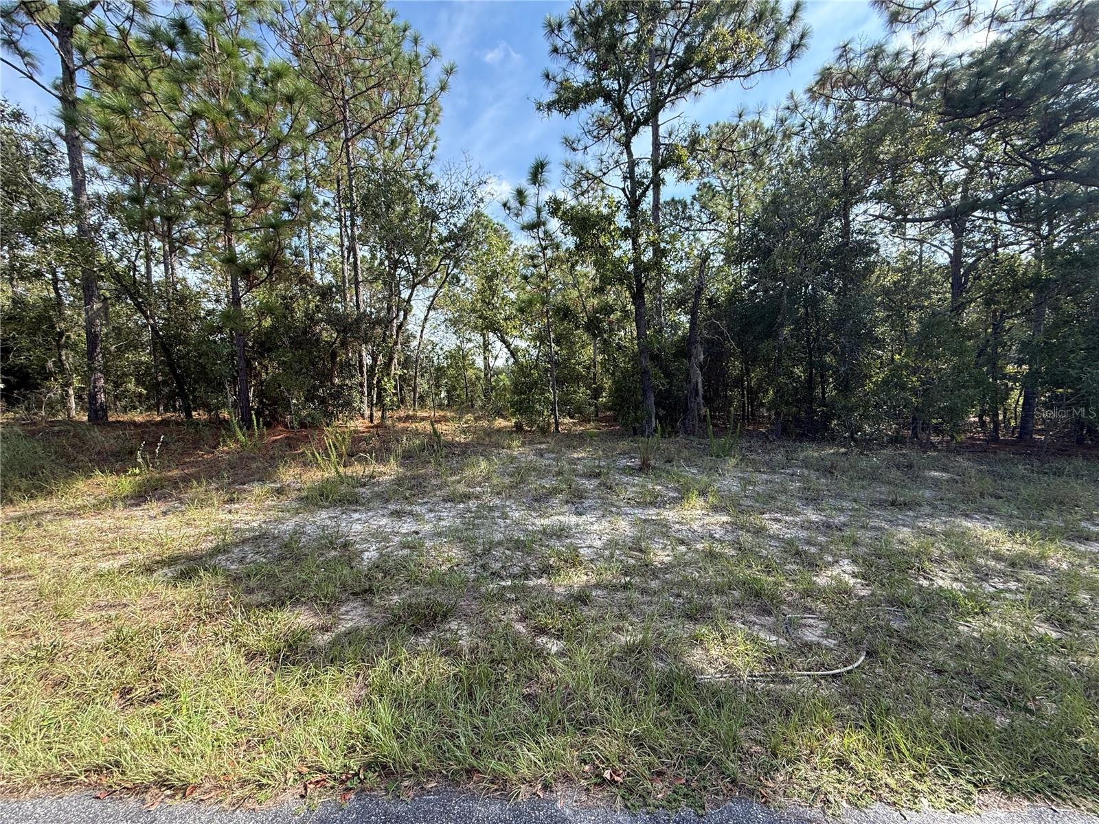 9339 N MILAM WAY, CITRUS SPRINGS, FL, 34434