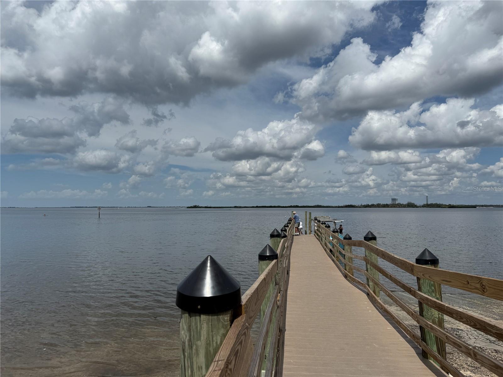 9339 N MILAM WAY, CITRUS SPRINGS, FL, 34434