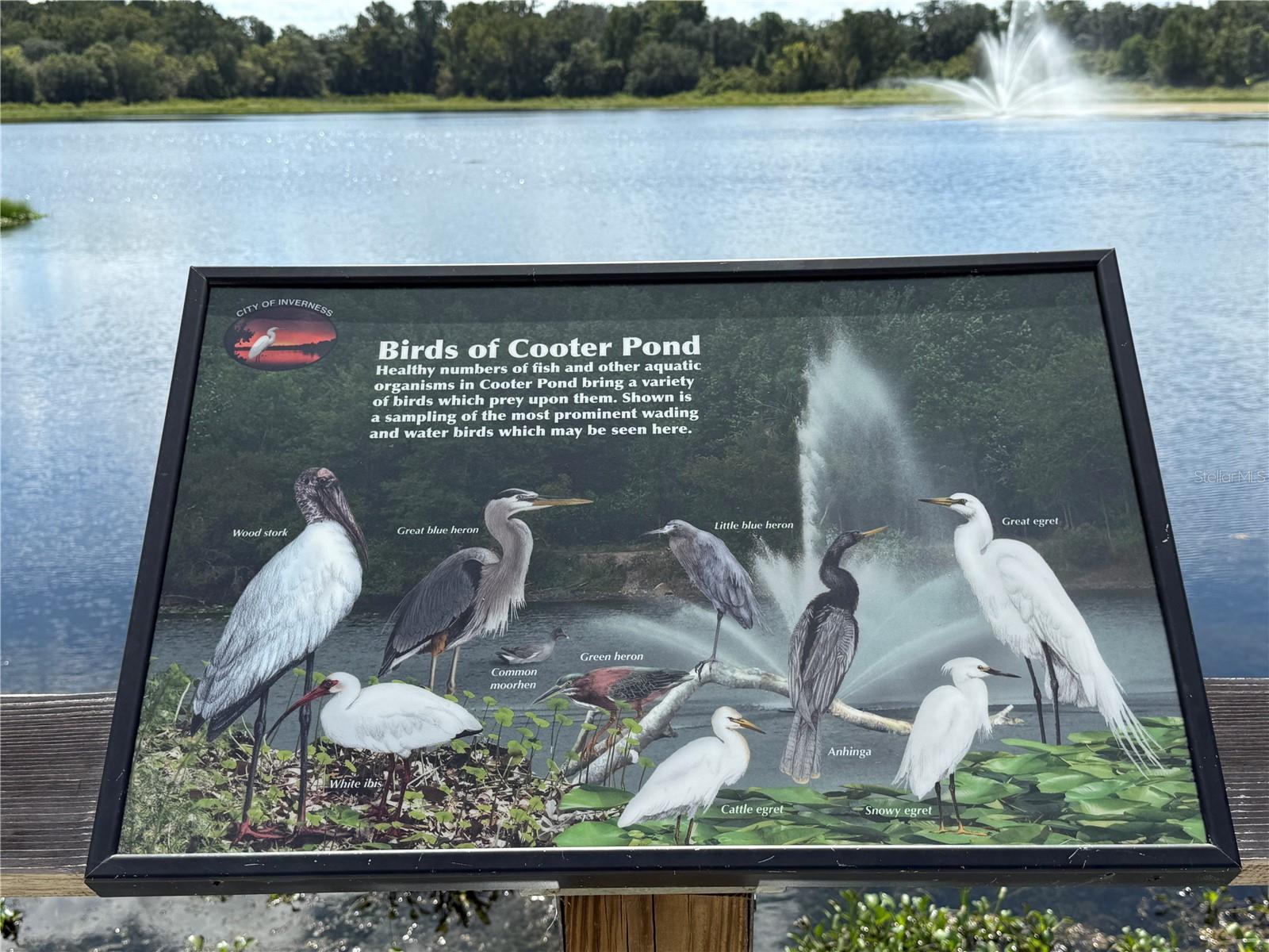 9339 N MILAM WAY, CITRUS SPRINGS, FL, 34434